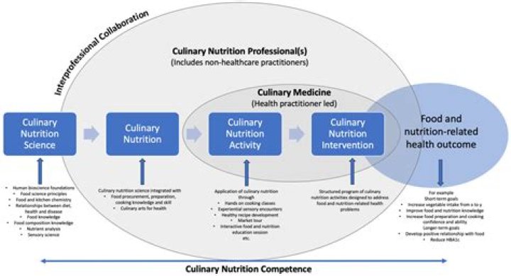 A Culinary And Nutritional Adventure
