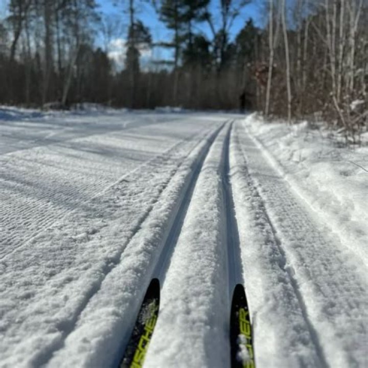 A Journey Through Cross-Country Skiing History