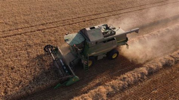 Discoveries And Insights In Agribusiness