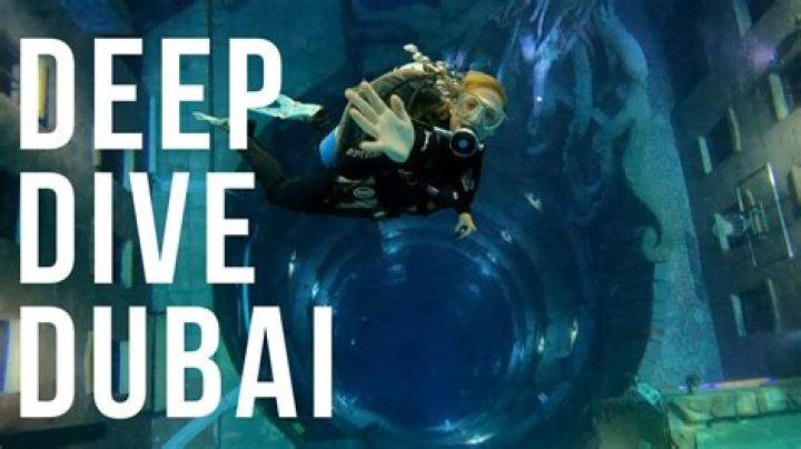 Dive Into The World Of Sarah Rowland