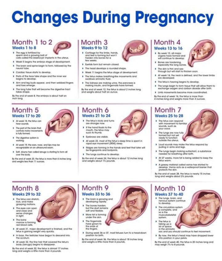 Selena Gomez's Pregnancy Journey And Its Implications
