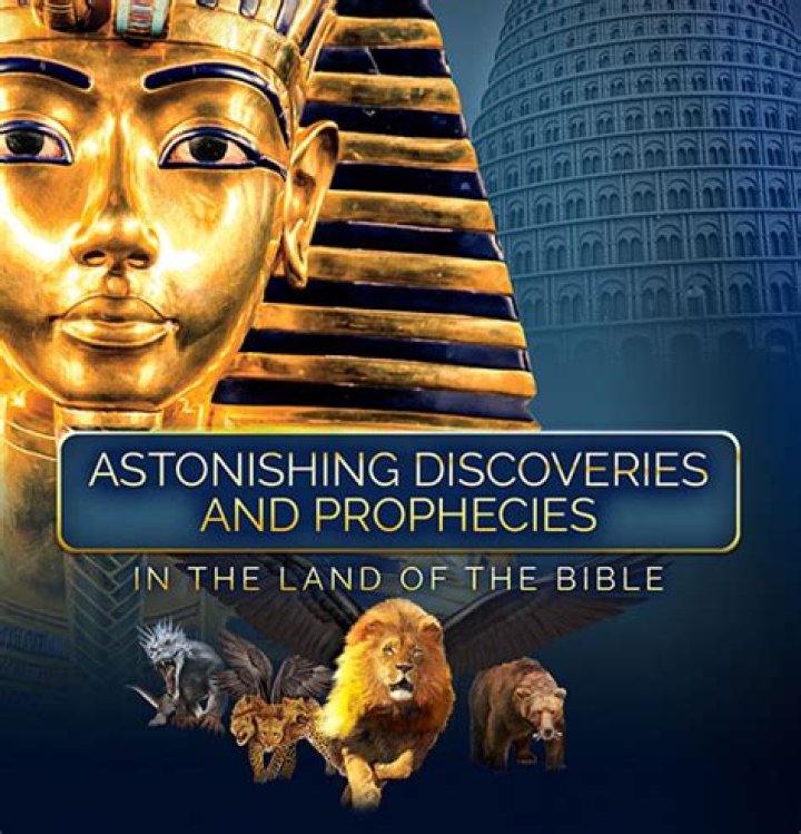 Timeless Insights And Astonishing Discoveries