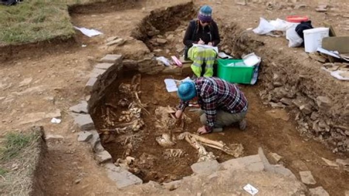 Uncovering A Treasure Trove Of History And Community
