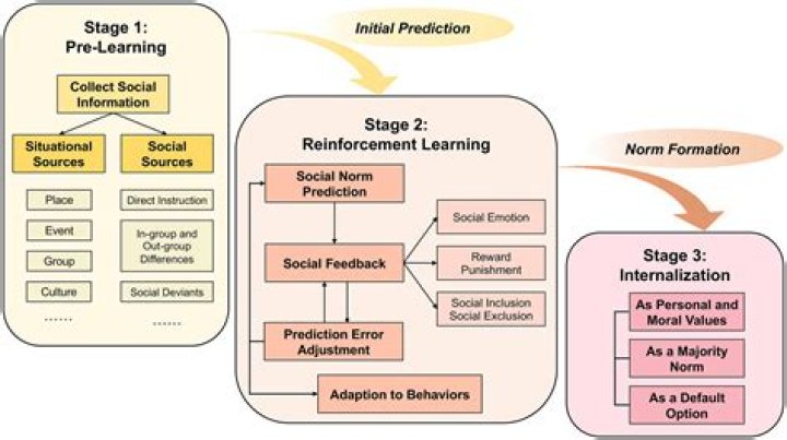 Unlocking Insights And Societal Perceptions