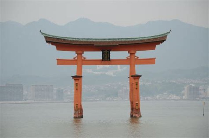 Unveiling The Enchanting World Of Mai Cu: A Journey Of Discovery